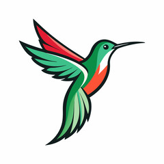 Colorful hummingbird vector illustration