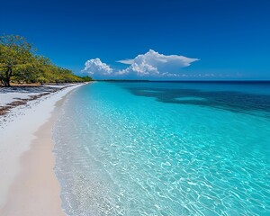 Obraz premium A stunning tropical beach scene featuring crystal-clear turquoise water gently lapping against a pristine white sandy shore under a bright blue sky.