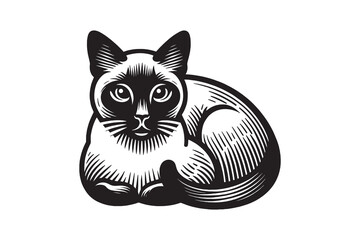 Cute  Siamese cat.  Resting, lying down. Vintage vector engraving illustration, emblem, logo