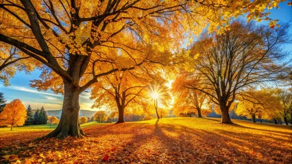 Fototapeta premium Autumn Landscape Background with Vibrant Yellow Leaves for Postcards