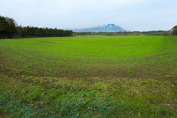 春の農場草原と残雪の岩手山