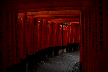 Dramatic view of red gates 