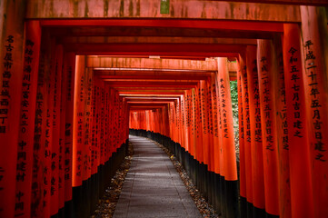 Dramatic view of red gates 