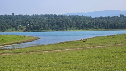 Umrangso Golf Course