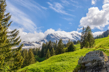 Fototapeta premium Beautiful landscape of valley in Alpine mountains, small trail, hike root, majestic picturesque view in sunny day