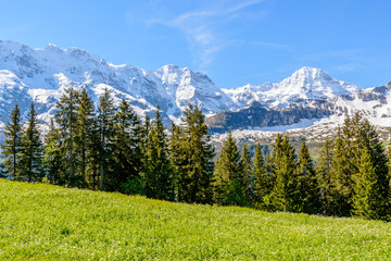 Beautiful landscape of valley in Alpine mountains, small trail, hike root, majestic picturesque view in sunny day