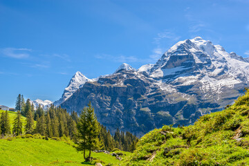 Fototapeta premium Beautiful landscape of valley in Alpine mountains, small trail, hike root, majestic picturesque view in sunny day