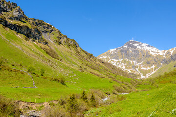 Fototapeta premium Beautiful landscape of valley in Alpine mountains, small trail, hike root, majestic picturesque view in sunny day