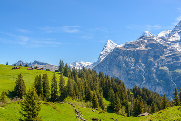 Beautiful landscape of valley in Alpine mountains, small trail, hike root, majestic picturesque view in sunny day