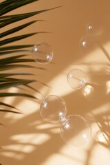 Fototapeta premium Bubbles and Palm Leaves Under Sunlight