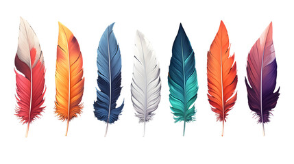 Vibrant Colored Feathers isolated on transparent background