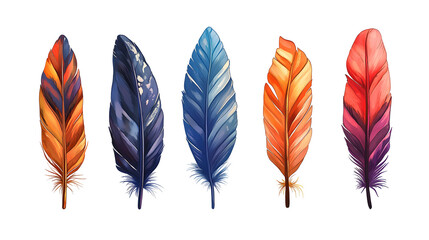 Vibrant Colored Feathers isolated on transparent background