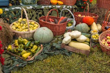 lots of ripe fresh vegetables and fruits on green grass and in baskets. autumn harvest concept....