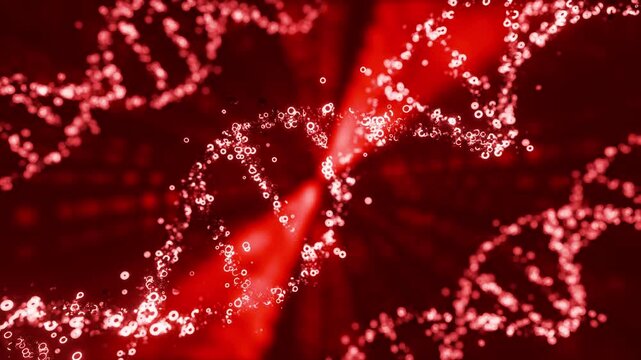 3D animation of red colored DNA helix moving in loop