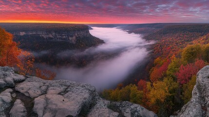 Fototapeta premium Low-lying stratus clouds blanketing a misty forest valley at dawn