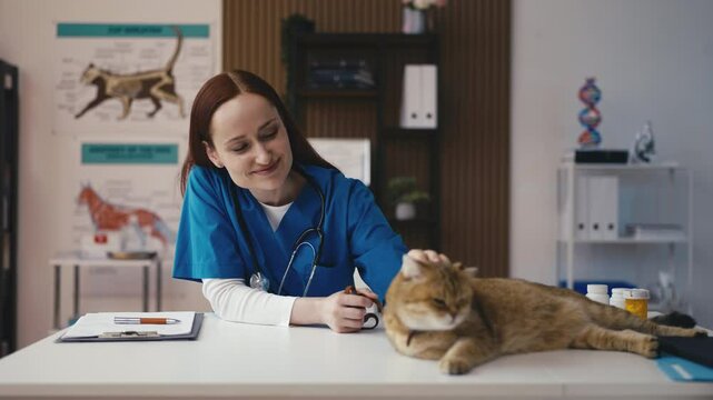 Portrait of friendly animal doctor petting her cat patient, vet clinic check-up
