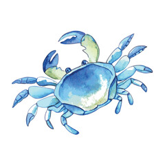 Hand drawn watercolor vector illustration of blue crab with beautiful gradient