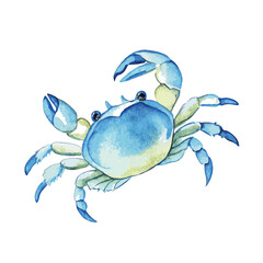 Hand drawn watercolor vector illustration of blue crab with beautiful gradient © Cinco