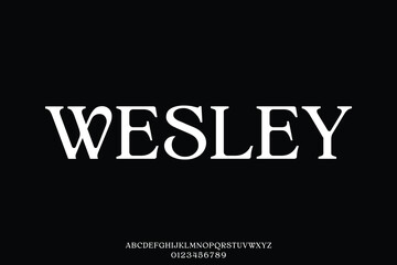 Elegant luxury decorative serif alphabet display font vector illustration © Asenbayu