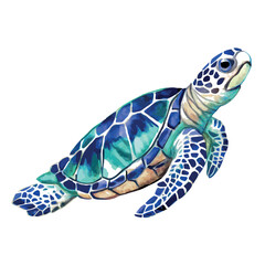 Hand painted watercolor vector illustration of a blue sea turtle swimming gracefully