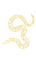 Obraz premium A simple cartoon snake illustration