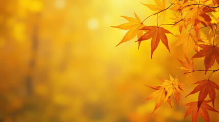 Bright Autumn Maple Leaves on Golden Background - Perfect for Seasonal Fall Imagery