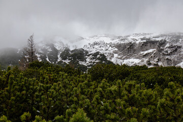 A photo of a mountain covered in snow