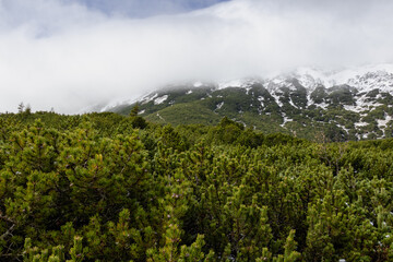 Fototapeta premium A photo of a mountain covered in snow