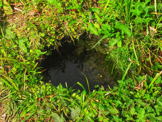 Natural Spring in a National Park