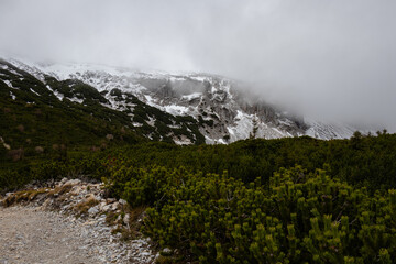 A photo of a mountain covered in snow