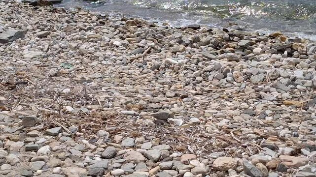 Plastic bottle washed out on the beach