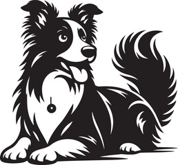 Border collie two dog vector illustration
