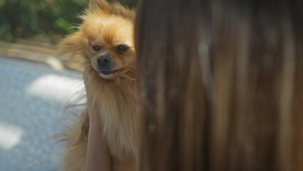 Young woman with a pomeranian dog enjoying time together at an urban park.