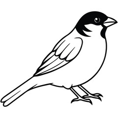 Fototapeta premium bird on a branch