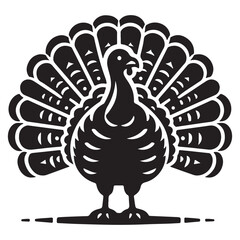 Turkey vector illustration design and templates