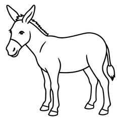 Obraz premium donkey isolated on white