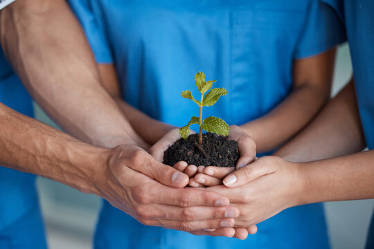 Doctor, team and hands with plant and soil for accountability, sustainability and eco friendly practice. Hospital, earth and leaf with commitment to recycle medical waste with growth and dirt