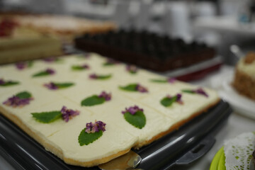 Hochzeitsbuffet, Кейтеринг, Hochzeitssnacks, Канапе, Закуски, Hochzeitsfeier, Hochzeitsessen, Bankett, gedeckter Tisch, Tischdeko, Blumenarrangement, Kuchen, Hoch, zeitssüßigkeiten, Служба общественно