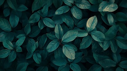 black and green leaves