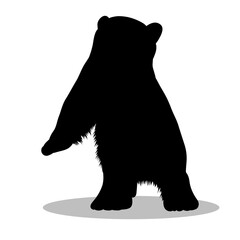 Bear silhouette illustration Design Bear silhouette icon