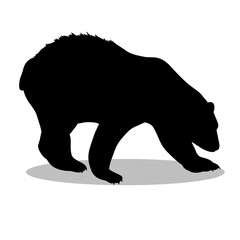 Bear silhouette illustration Design Bear silhouette icon