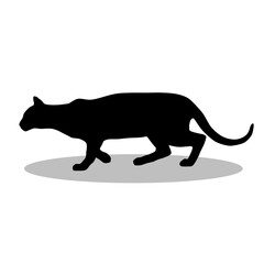 Bengal Cat silhouette illustration Design Bengal Cat silhouette icon