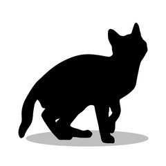 Bengal Cat silhouette illustration Design Bengal Cat silhouette icon