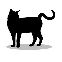 Bengal Cat silhouette illustration Design Bengal Cat silhouette icon