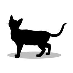 Bengal Cat silhouette illustration Design Bengal Cat silhouette icon