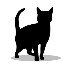 Bengal Cat silhouette illustration Design Bengal Cat silhouette icon