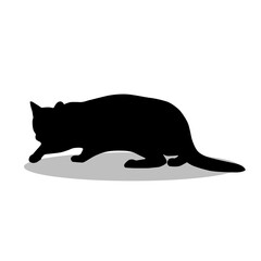 Bengal Cat silhouette illustration Design Bengal Cat silhouette icon