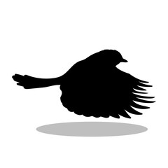 Obraz premium Birds silhouette illustration Design Birds silhouette icon