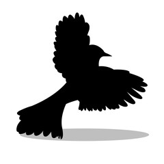 Birds silhouette illustration Design Birds silhouette icon
