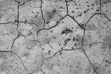 Obraz premium Black and white photo of a dried out sandy soil in nature, as a result of climate change